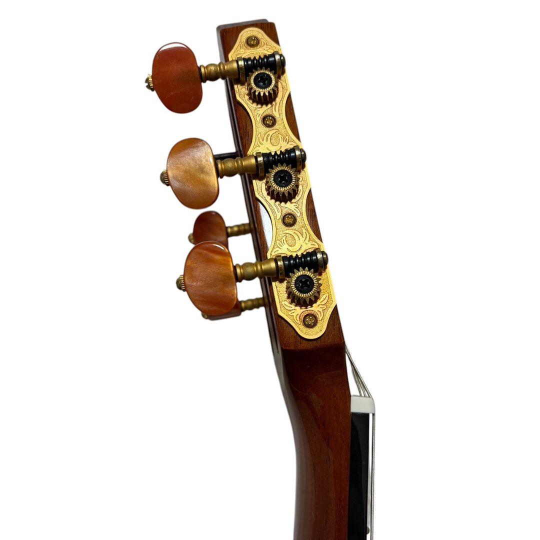 【動作確認済み】YAMAHA SLG-120NW サイレントギター ケース付