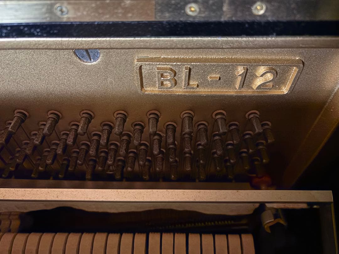 鍵盤楽器 KAWAI BL-12
