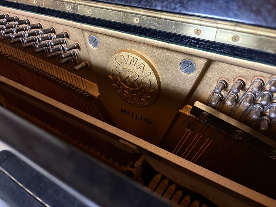 鍵盤楽器 KAWAI BL-12