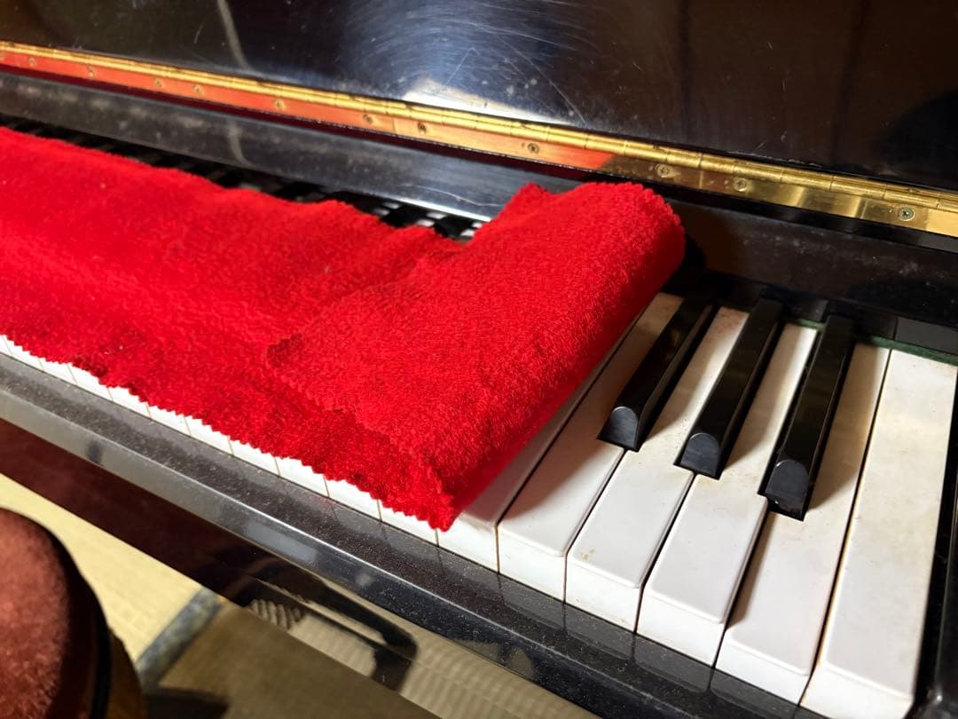 鍵盤楽器 KAWAI BL-12