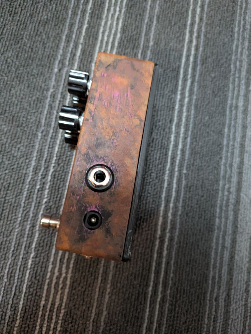 ギター Kardian & Petla FZ4A