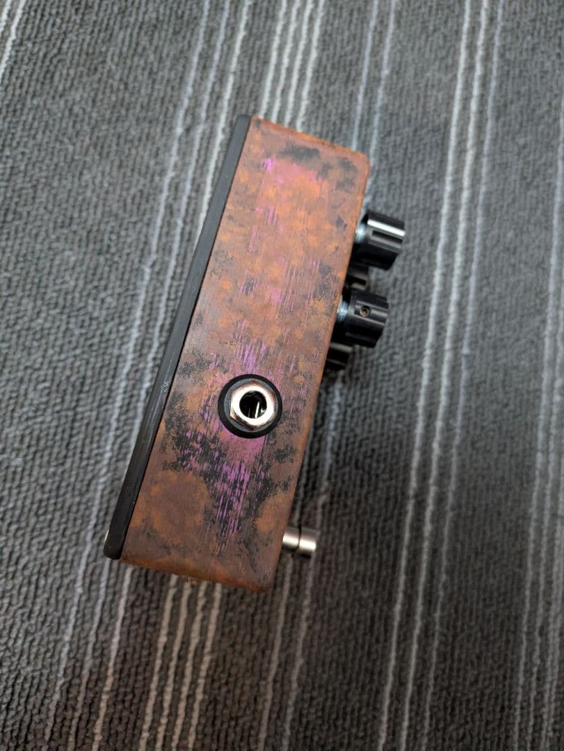 ギター Kardian & Petla FZ4A