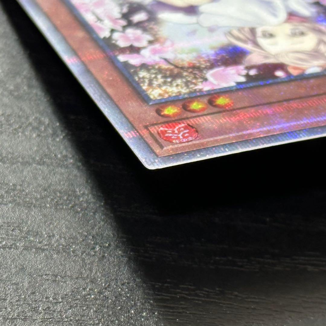 遊戯王 灰流うらら 25th 絵違い 日版 2枚