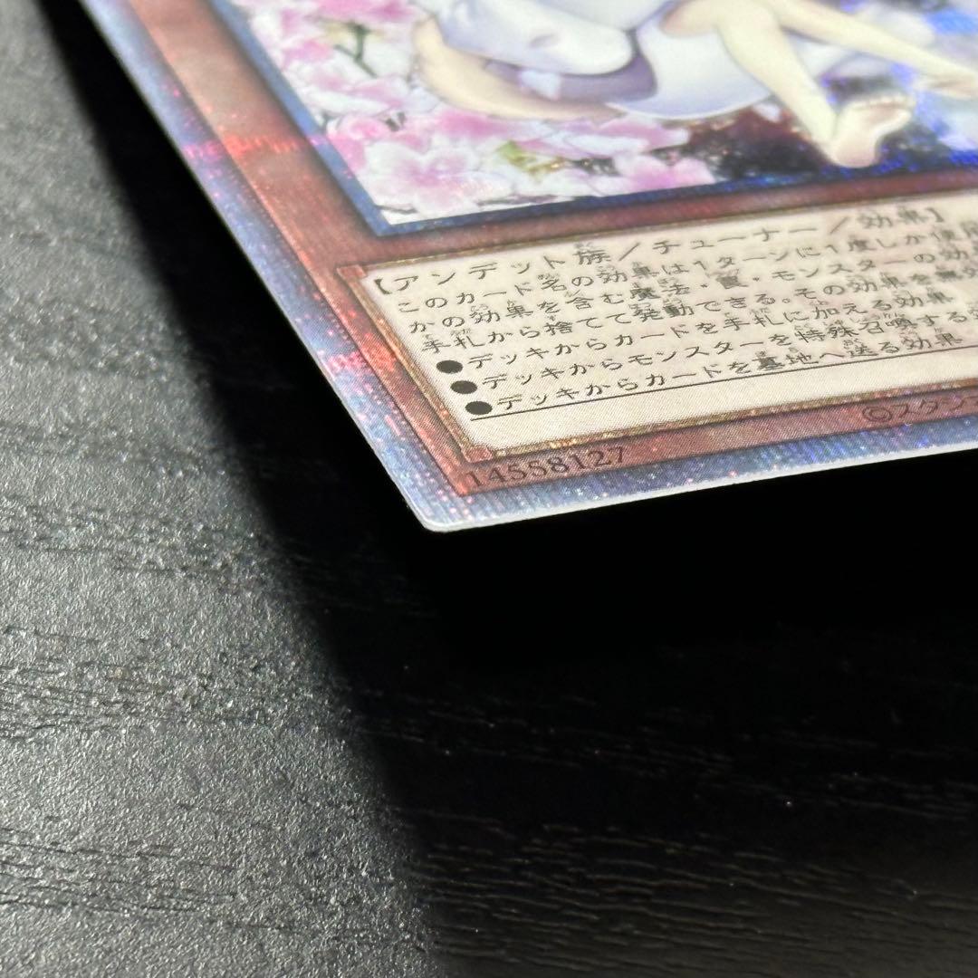 遊戯王 灰流うらら 25th 絵違い 日版 2枚