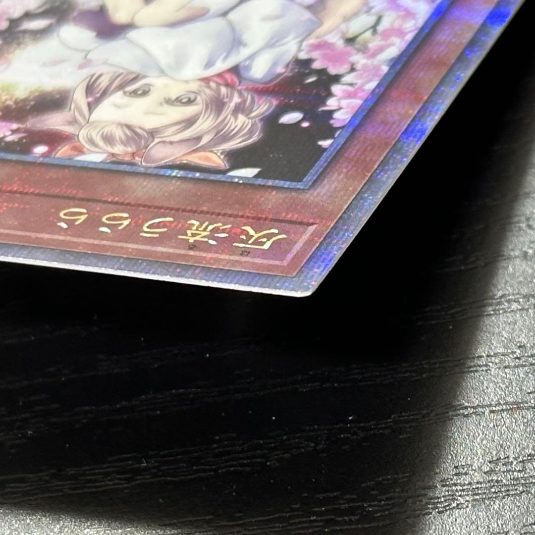 遊戯王 灰流うらら 25th 絵違い 日版 2枚