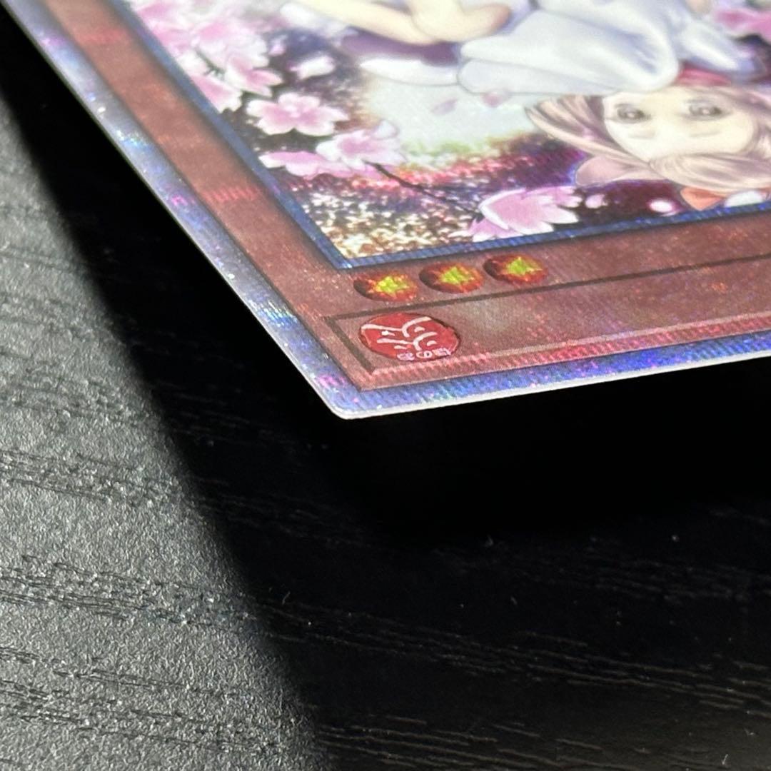 遊戯王 灰流うらら 25th 絵違い 日版 2枚