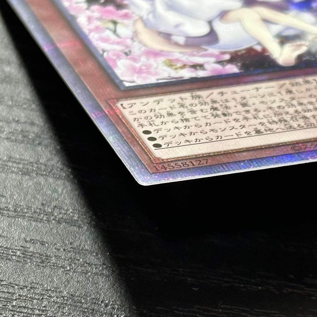 遊戯王 灰流うらら 25th 絵違い 日版 2枚