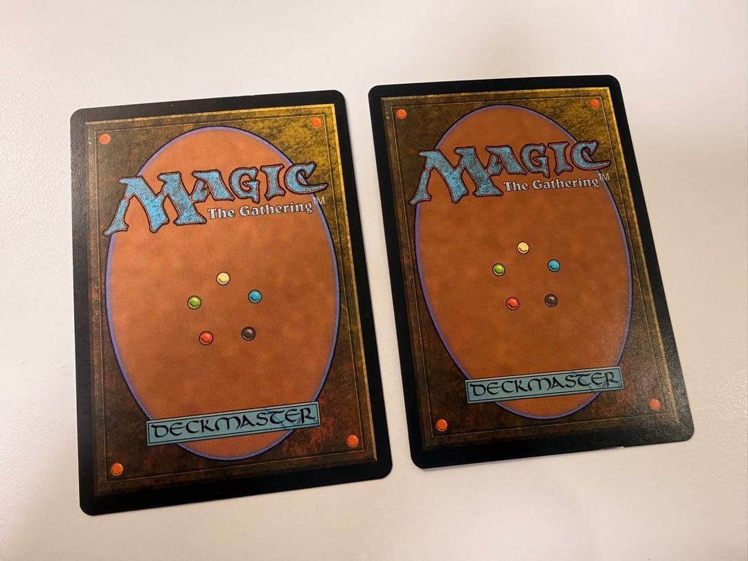 不毛の大地 ２枚セット mtg