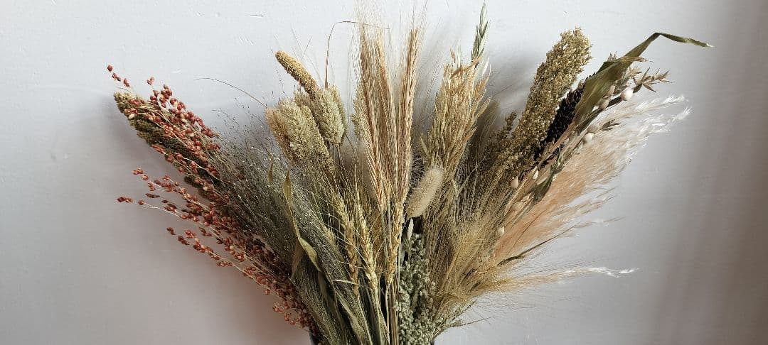 自家製　イネ科　ドライフラワーセット　２０種類