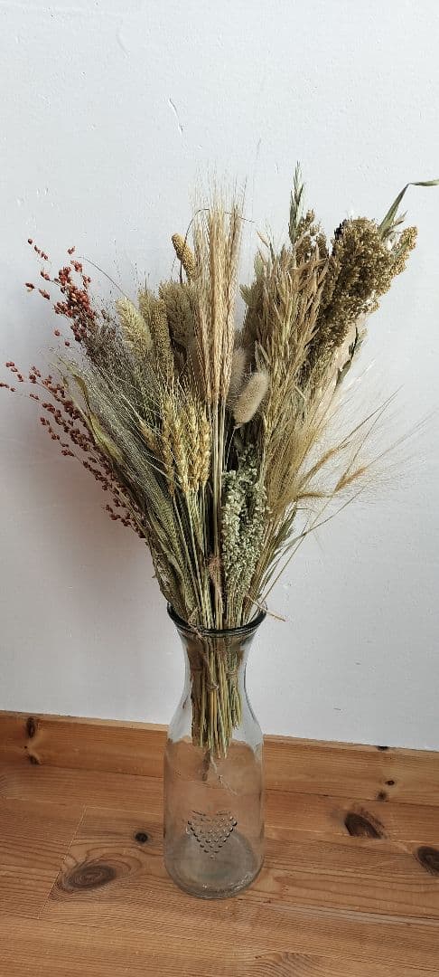 自家製　イネ科　ドライフラワーセット　２０種類