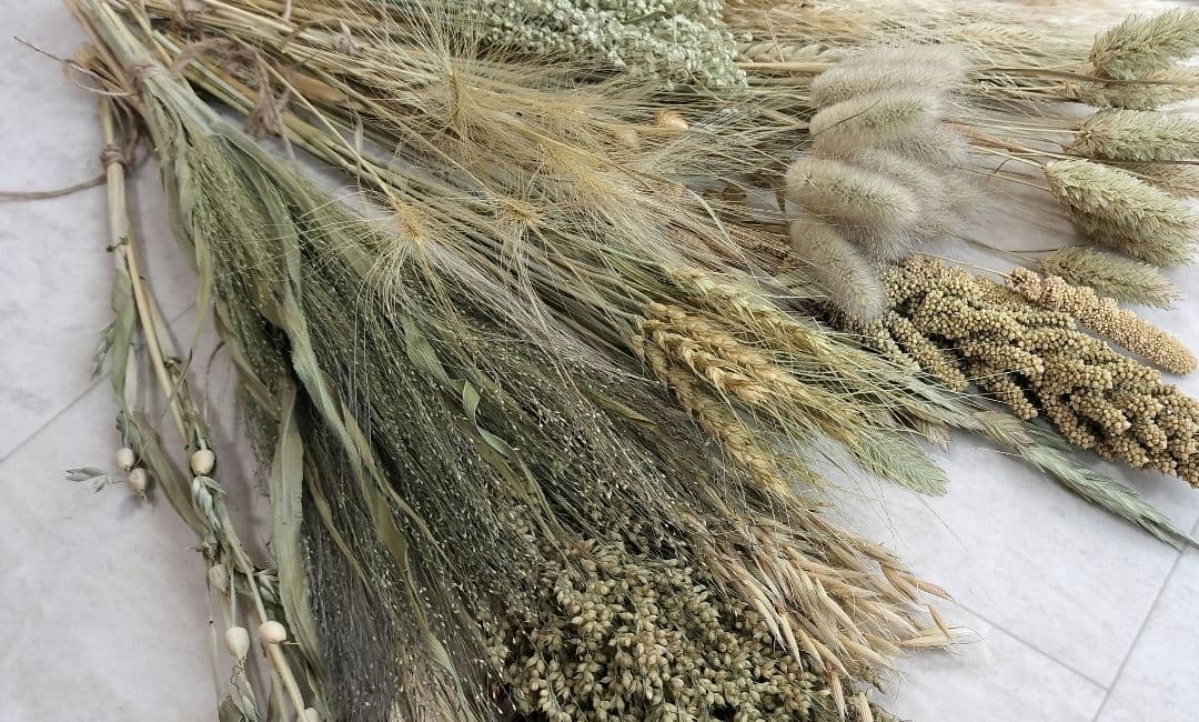 自家製　イネ科　ドライフラワーセット　２０種類