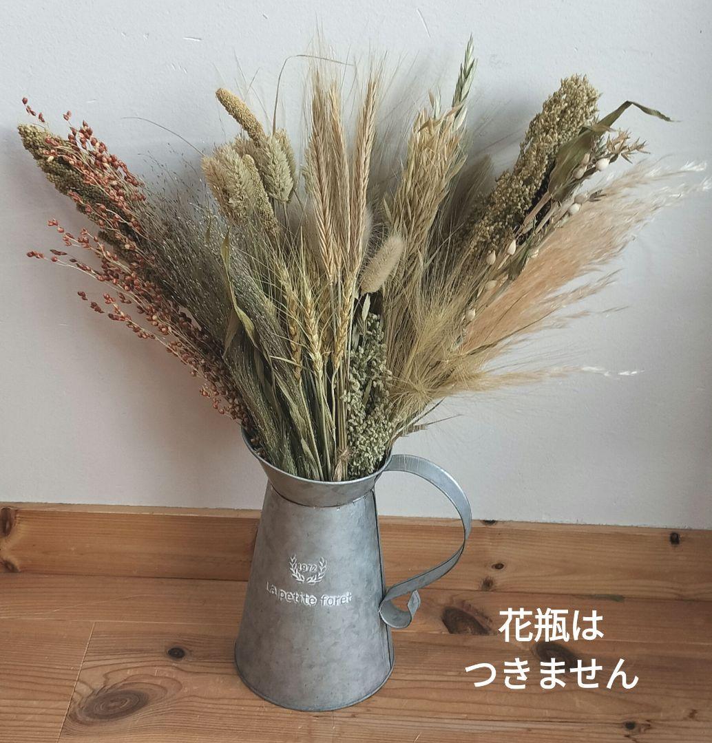 自家製　イネ科　ドライフラワーセット　２０種類