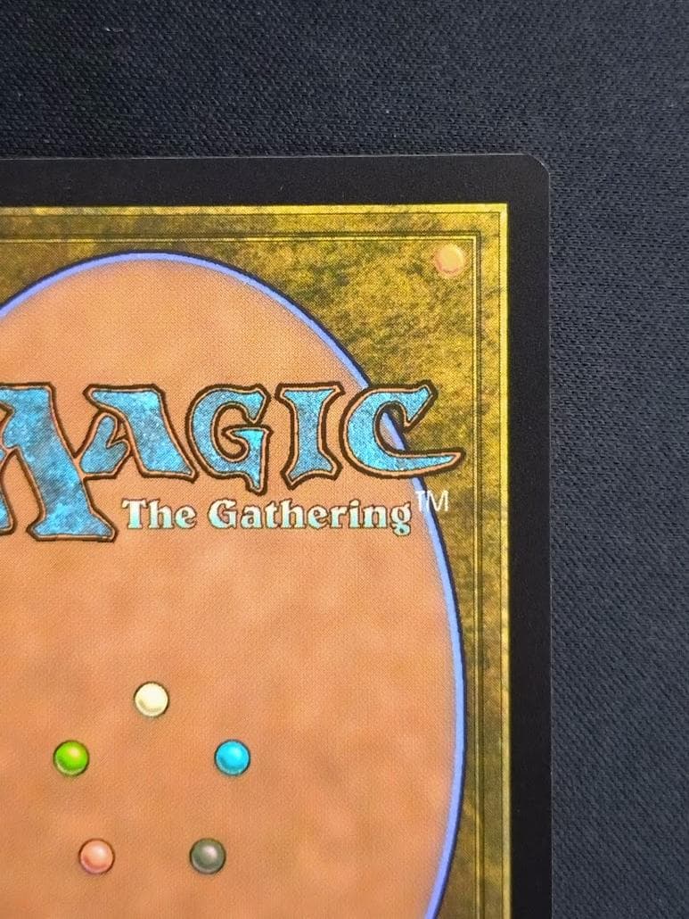 MTG 甲羅を背負ったヒーロー サージ・Foil ボーダーレス 日本語版