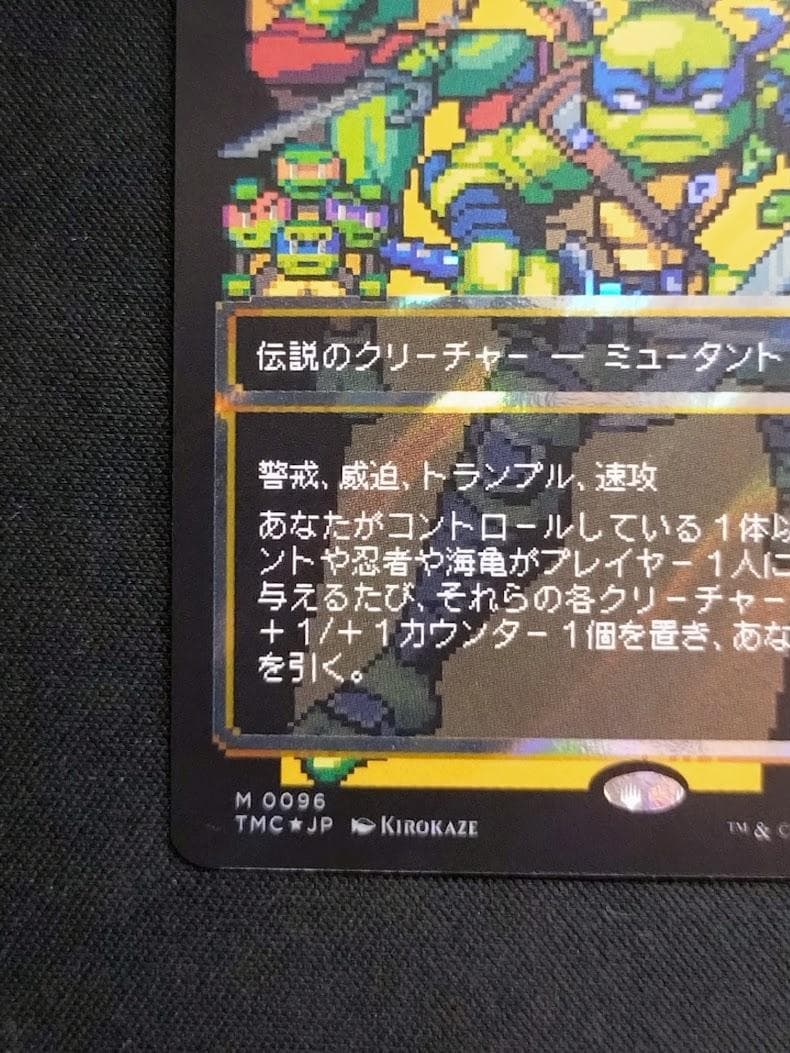 MTG 甲羅を背負ったヒーロー サージ・Foil ボーダーレス 日本語版