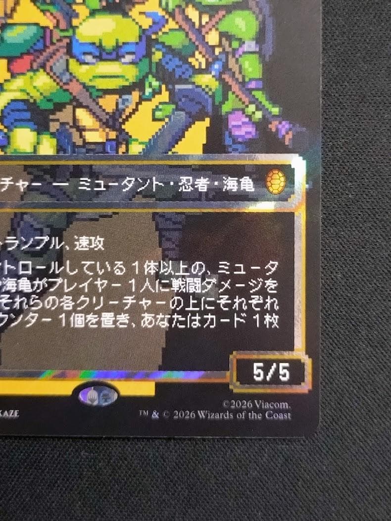 MTG 甲羅を背負ったヒーロー サージ・Foil ボーダーレス 日本語版
