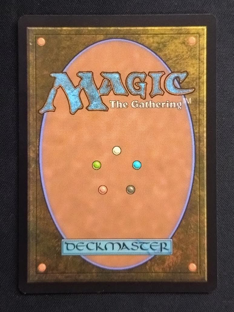 MTG 甲羅を背負ったヒーロー サージ・Foil ボーダーレス 日本語版