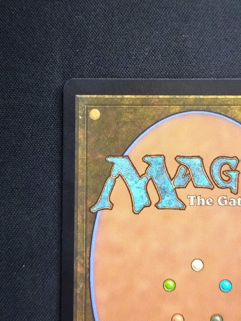 MTG 甲羅を背負ったヒーロー サージ・Foil ボーダーレス 日本語版