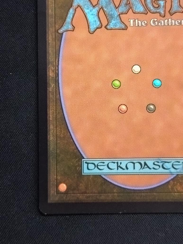 MTG 甲羅を背負ったヒーロー サージ・Foil ボーダーレス 日本語版