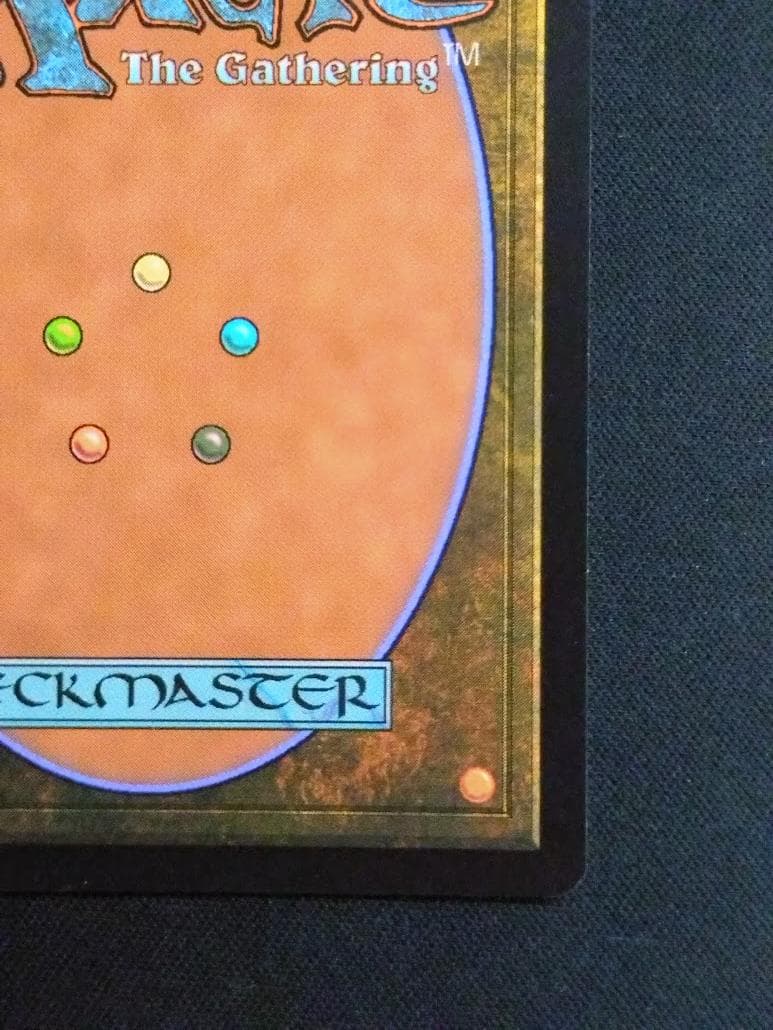 MTG 甲羅を背負ったヒーロー サージ・Foil ボーダーレス 日本語版