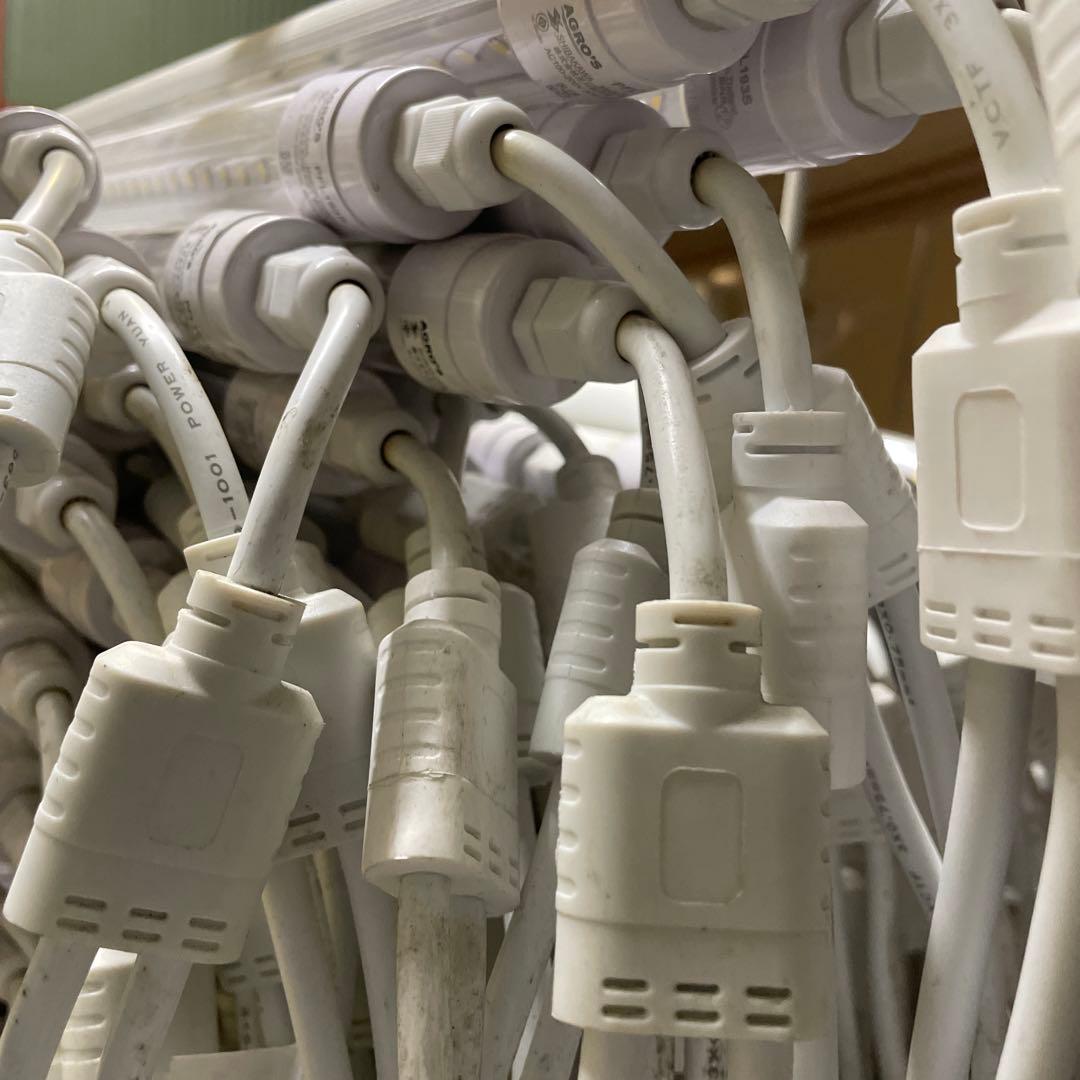 植物育成用 LED照明 3ピンコネクタ　新品未開封１０本/ケース+電源コード5本