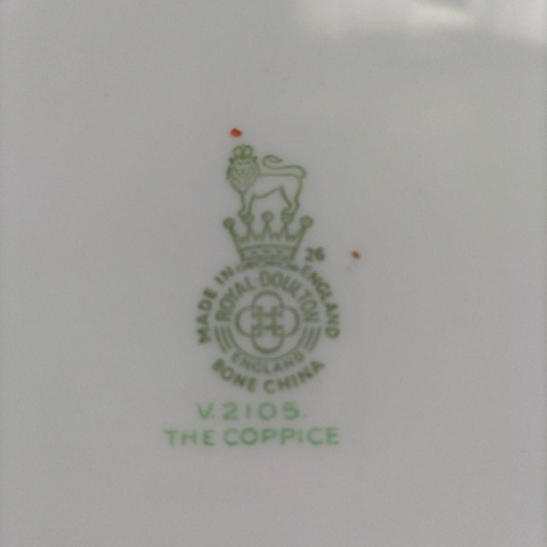 【ヴィンテージ】ロイヤルドルトン　コピス　ボウル＆BBプレート