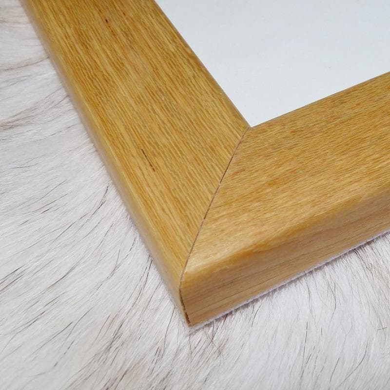 額装済/サンダーバニー 限定150枚/ロドニー グリーンブラット