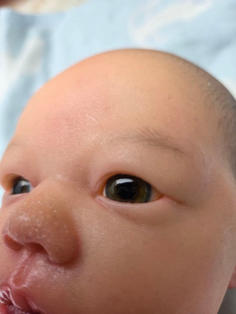 リボーンドール　Felicity　フェリシティ