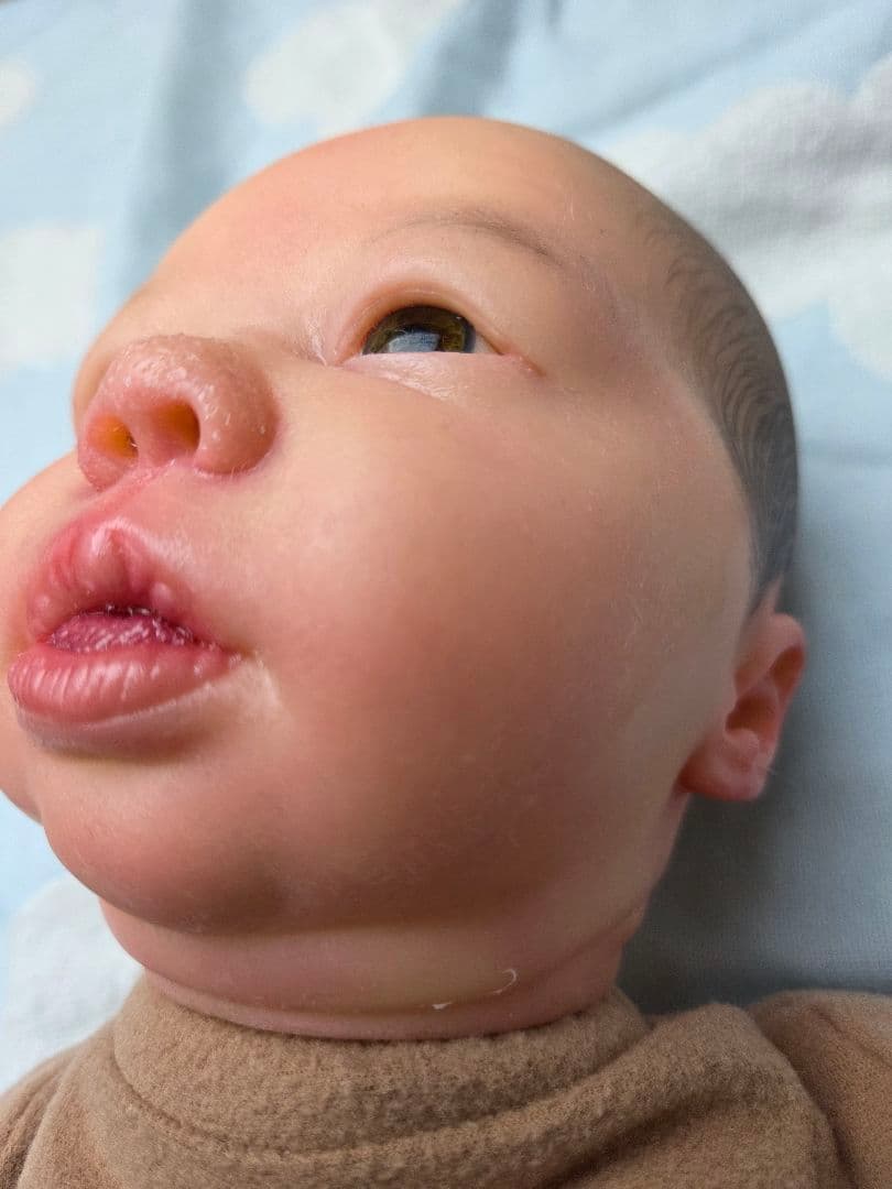 リボーンドール　Felicity　フェリシティ