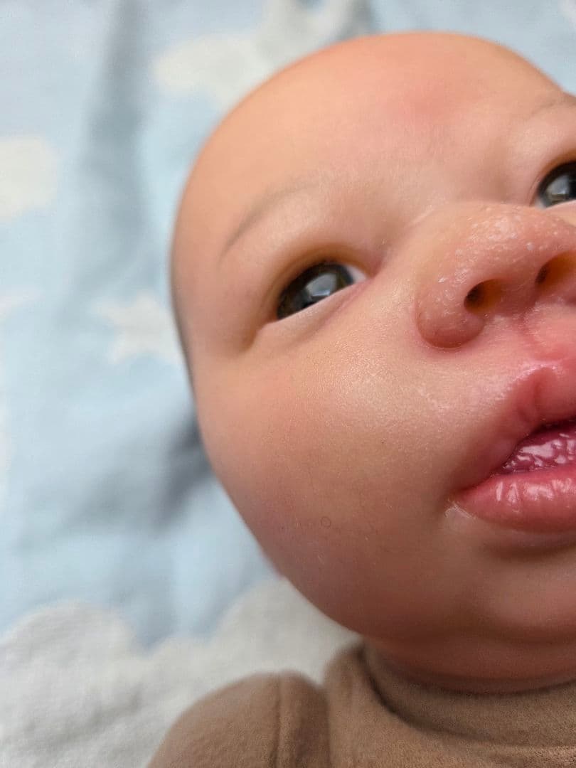 リボーンドール　Felicity　フェリシティ