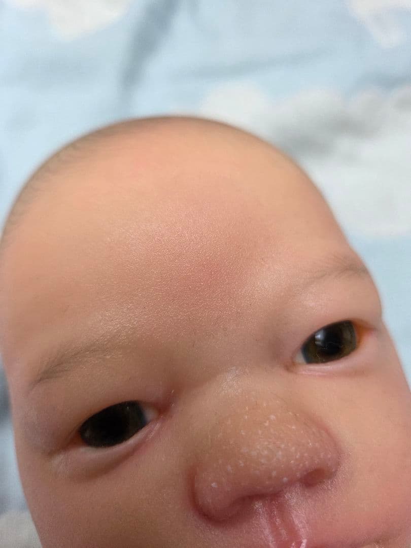 リボーンドール　Felicity　フェリシティ