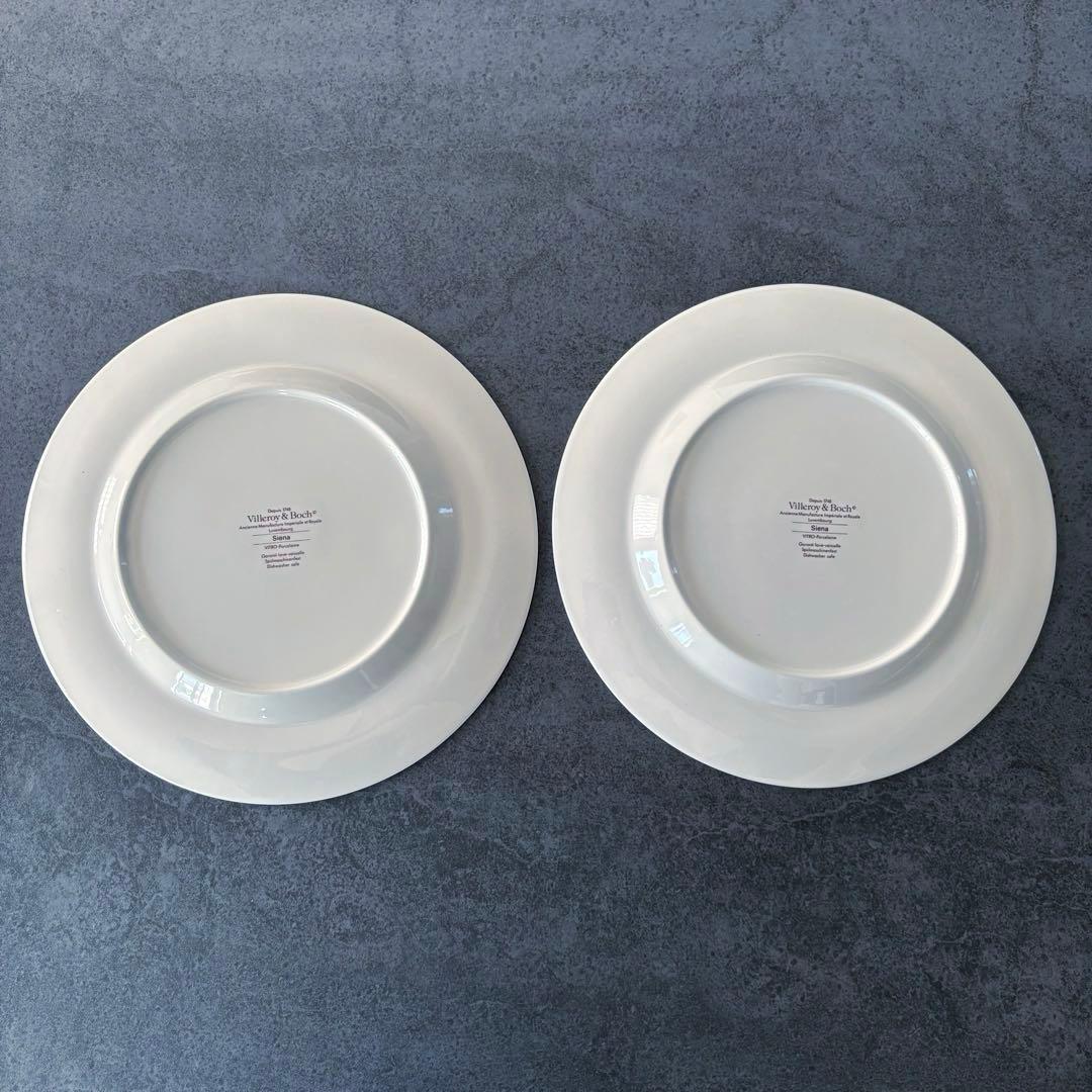 レア Villeroy & Boch Siena　ディナープレート　２枚