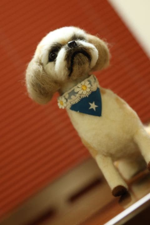 羊毛フェルト　シーズー