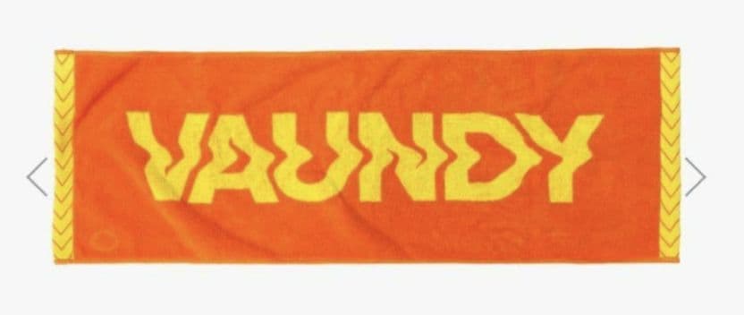 【新品】VAUNDY DOME TOUR 東京限定タオル&ラババン