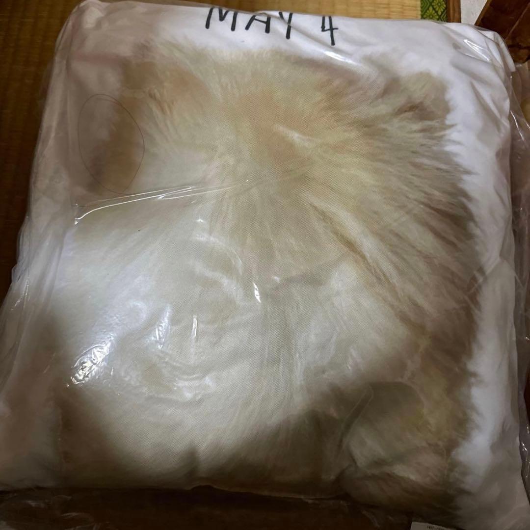 アリス九號. ヒロト