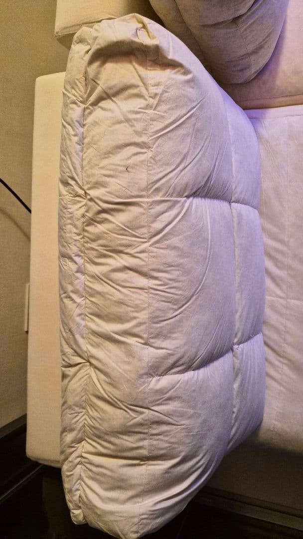 NOYES ノイエス 3人掛けソファ ニューシュガー