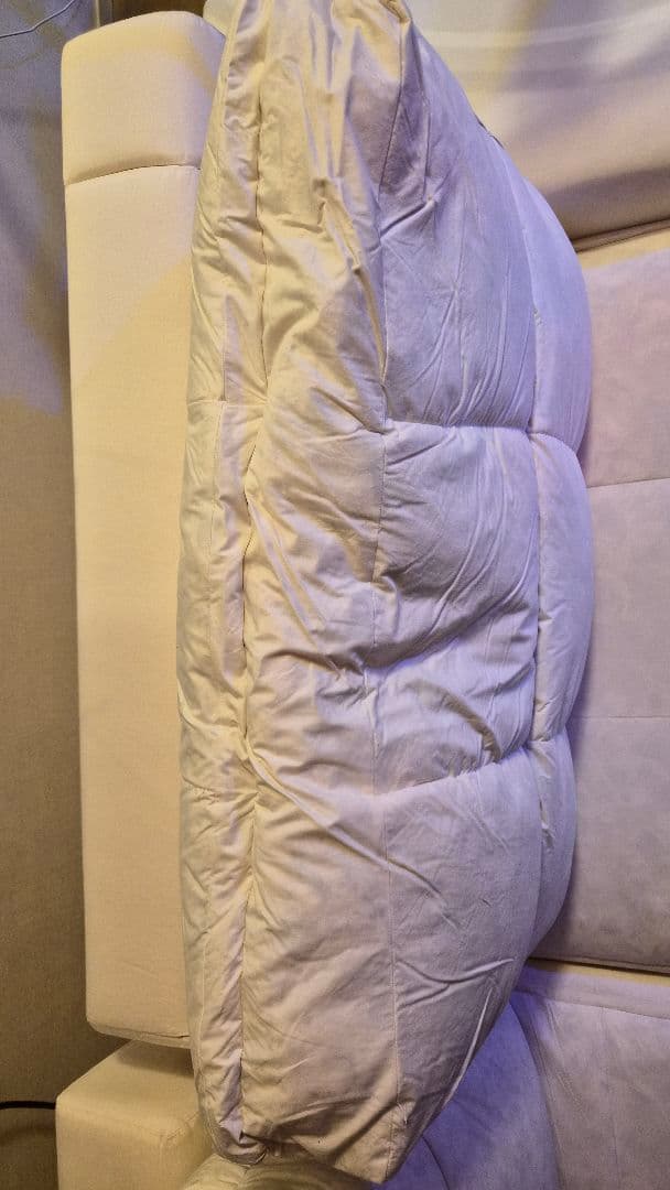 NOYES ノイエス 3人掛けソファ ニューシュガー