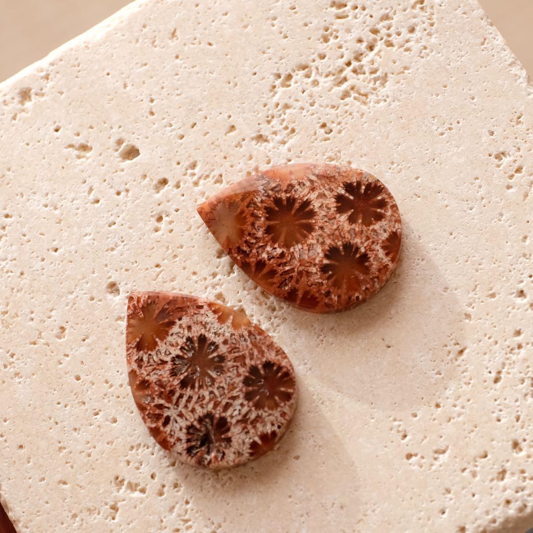 みっちゃん ♦︎14kgfレッドブラウンフォッシルコーラル