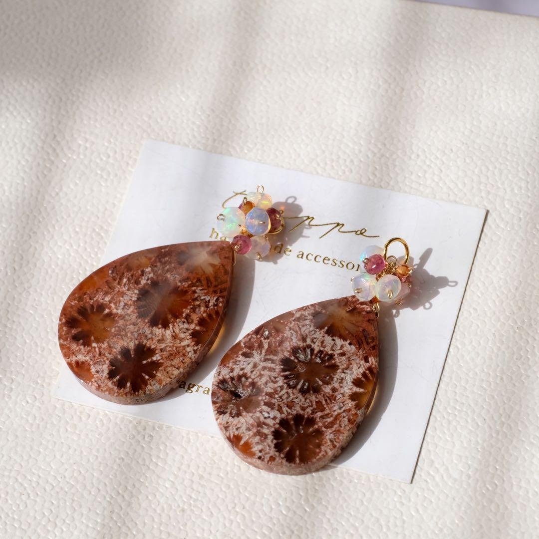 みっちゃん ♦︎14kgfレッドブラウンフォッシルコーラル