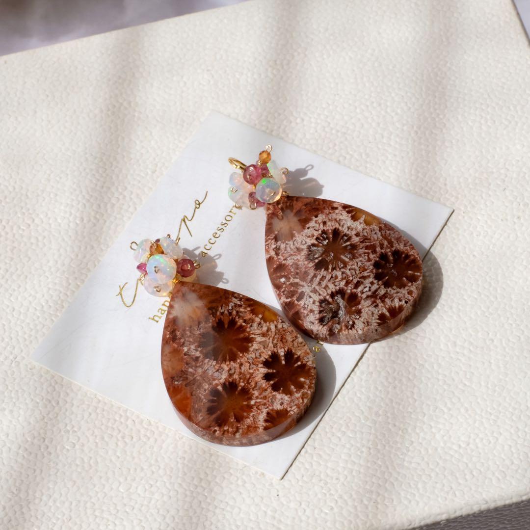 みっちゃん ♦︎14kgfレッドブラウンフォッシルコーラル