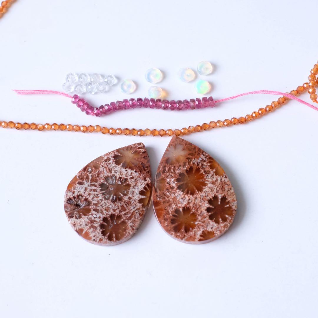 みっちゃん ♦︎14kgfレッドブラウンフォッシルコーラル