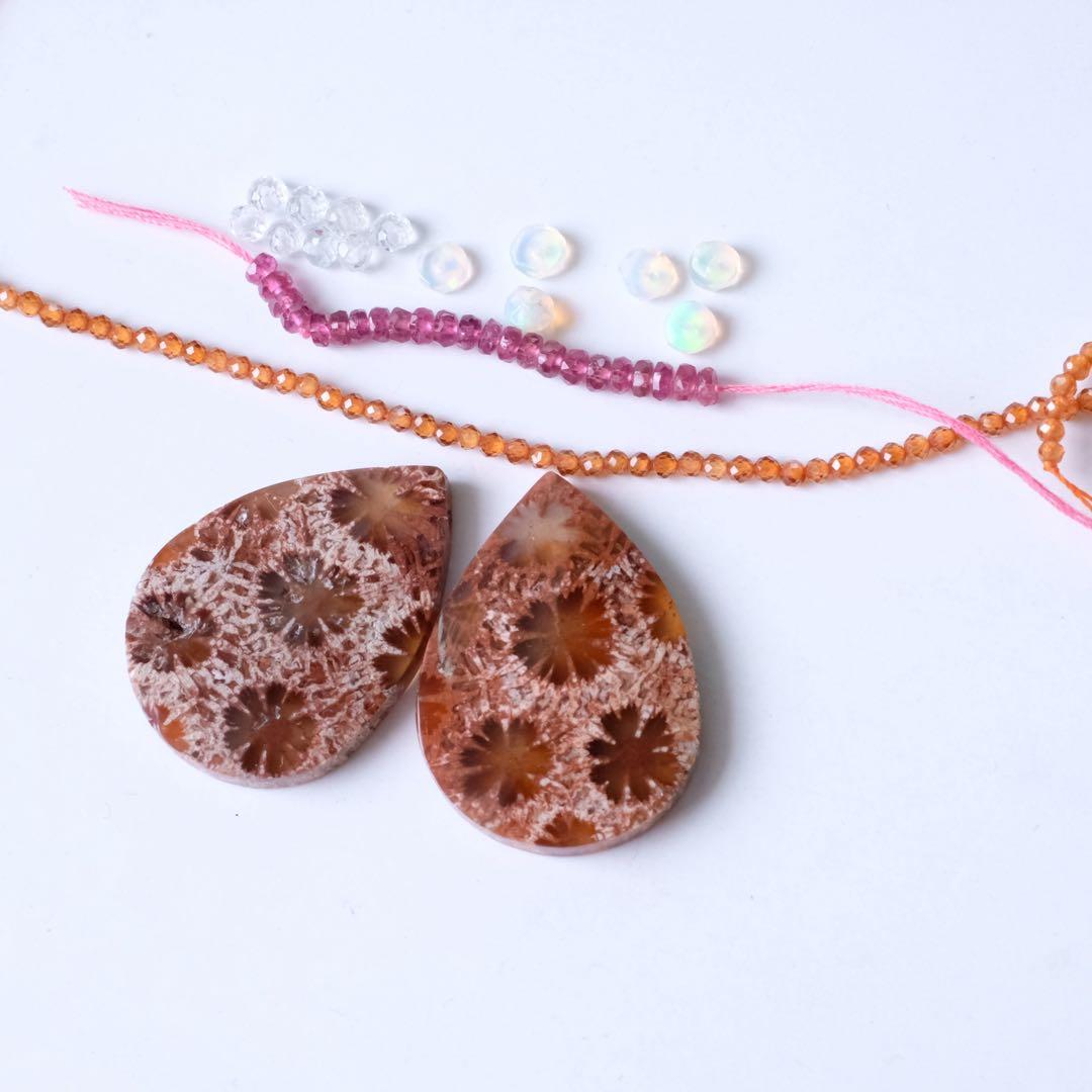 みっちゃん ♦︎14kgfレッドブラウンフォッシルコーラル