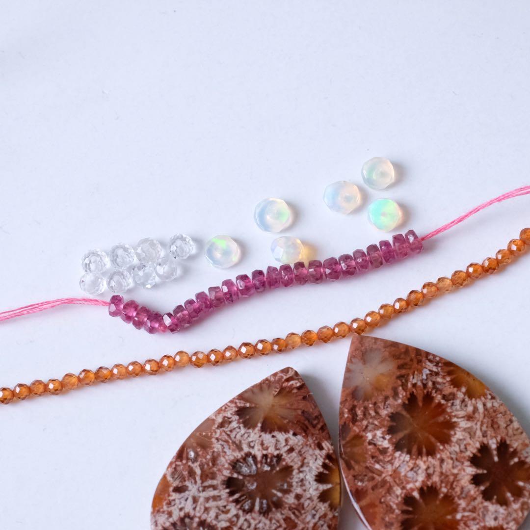 みっちゃん ♦︎14kgfレッドブラウンフォッシルコーラル