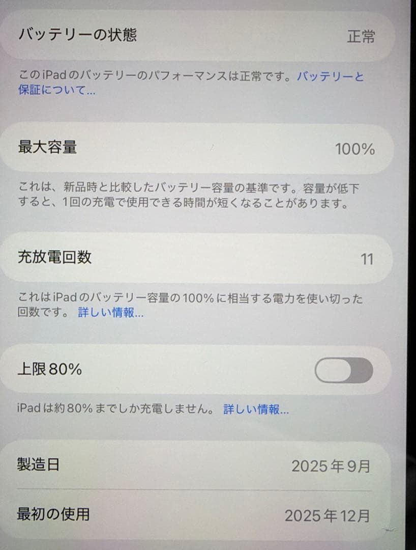 iPad mini 7 Wi-Fi 128GB バッテリー100%