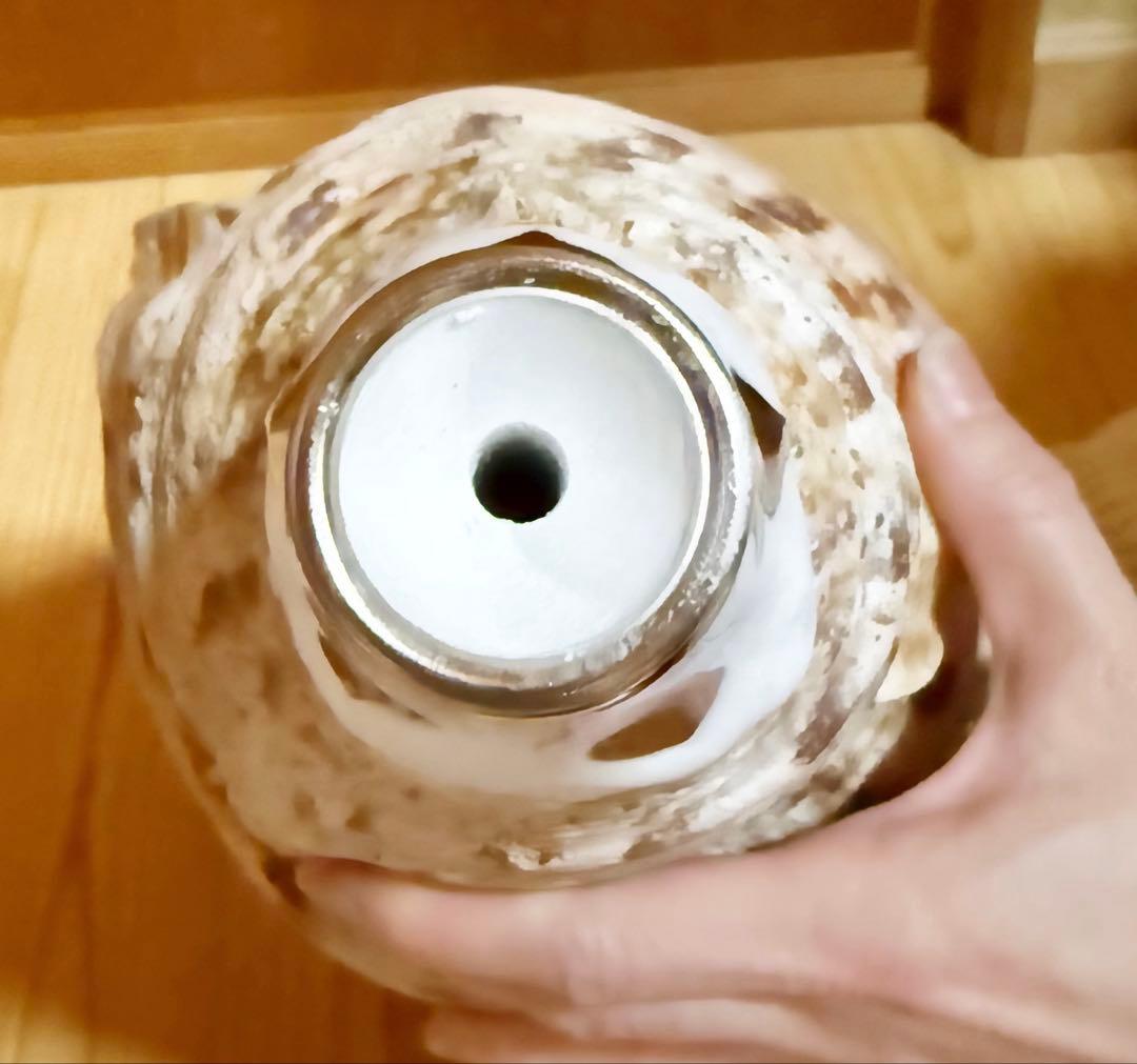 サービス価格‼️特大肉厚修験道法螺貝　山伏　密教❣️ホラガイ　ほら貝