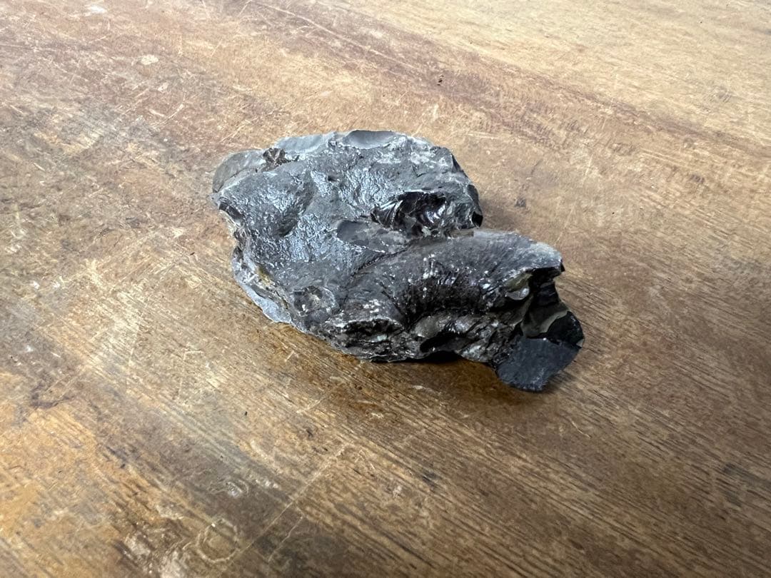 アンモナイト化石 まとめ売り 5点セット 原石 化石標本 アンティーク オブジェ