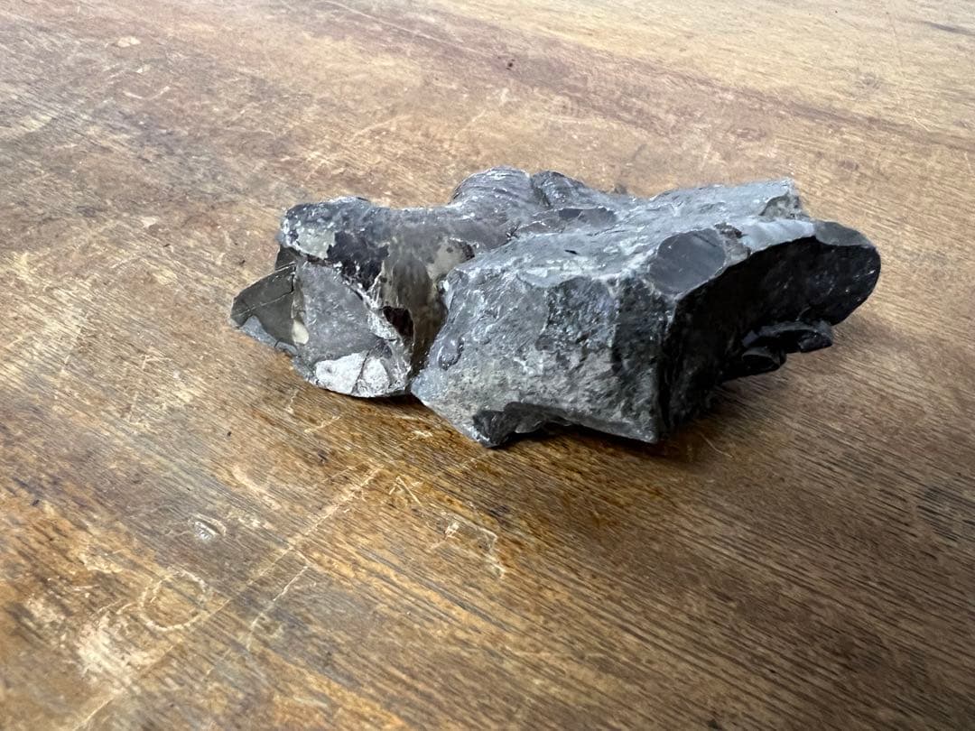 アンモナイト化石 まとめ売り 5点セット 原石 化石標本 アンティーク オブジェ