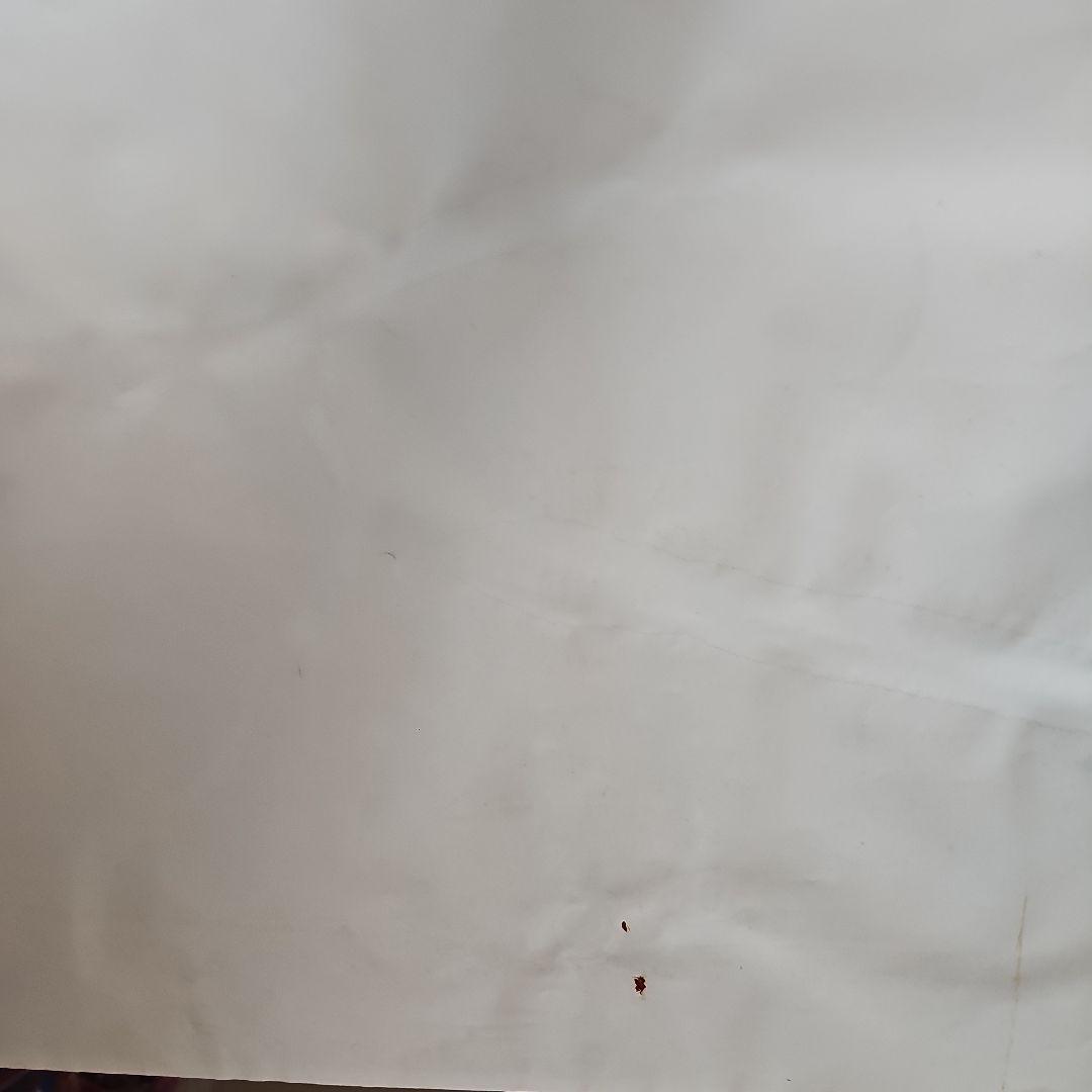 ミュージシャン ポスター 赤