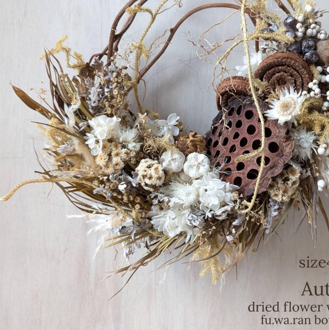 専用＊size42✕37＊ハスの実　セピアカラーの大きなドライフラワーリース