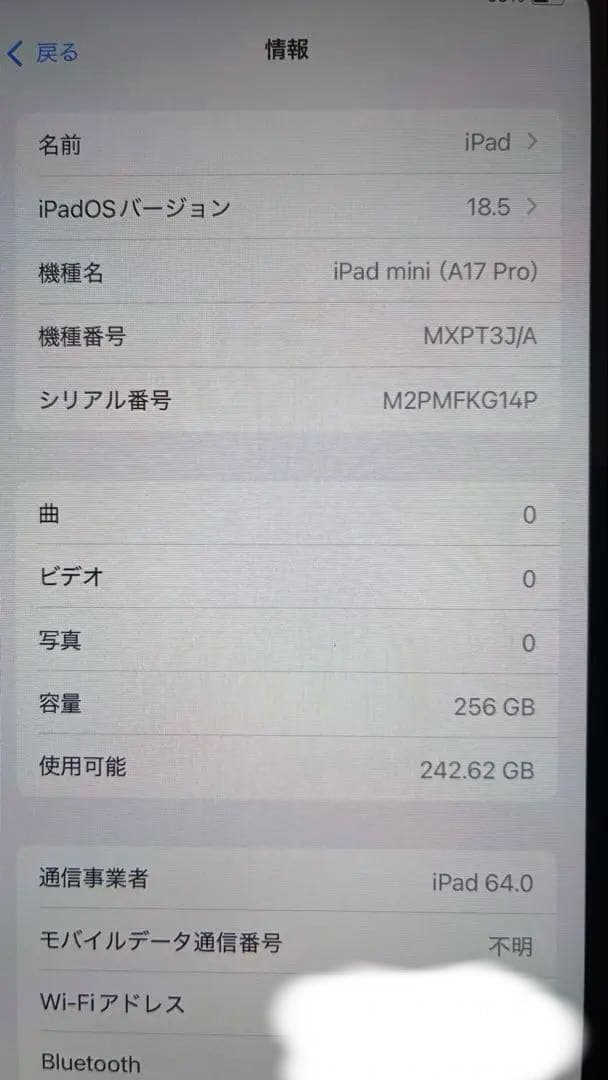 【美品+おまけ】iPadmini 7世代Wi-Fi+Cellular 256GB