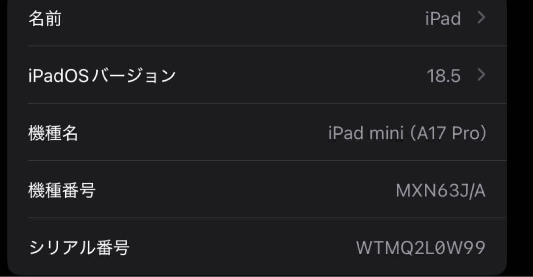 Apple iPad mini 7 スペースグレー (128GB/Wifi)